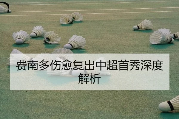 费南多伤愈复出中超首秀深度解析 - Yabo